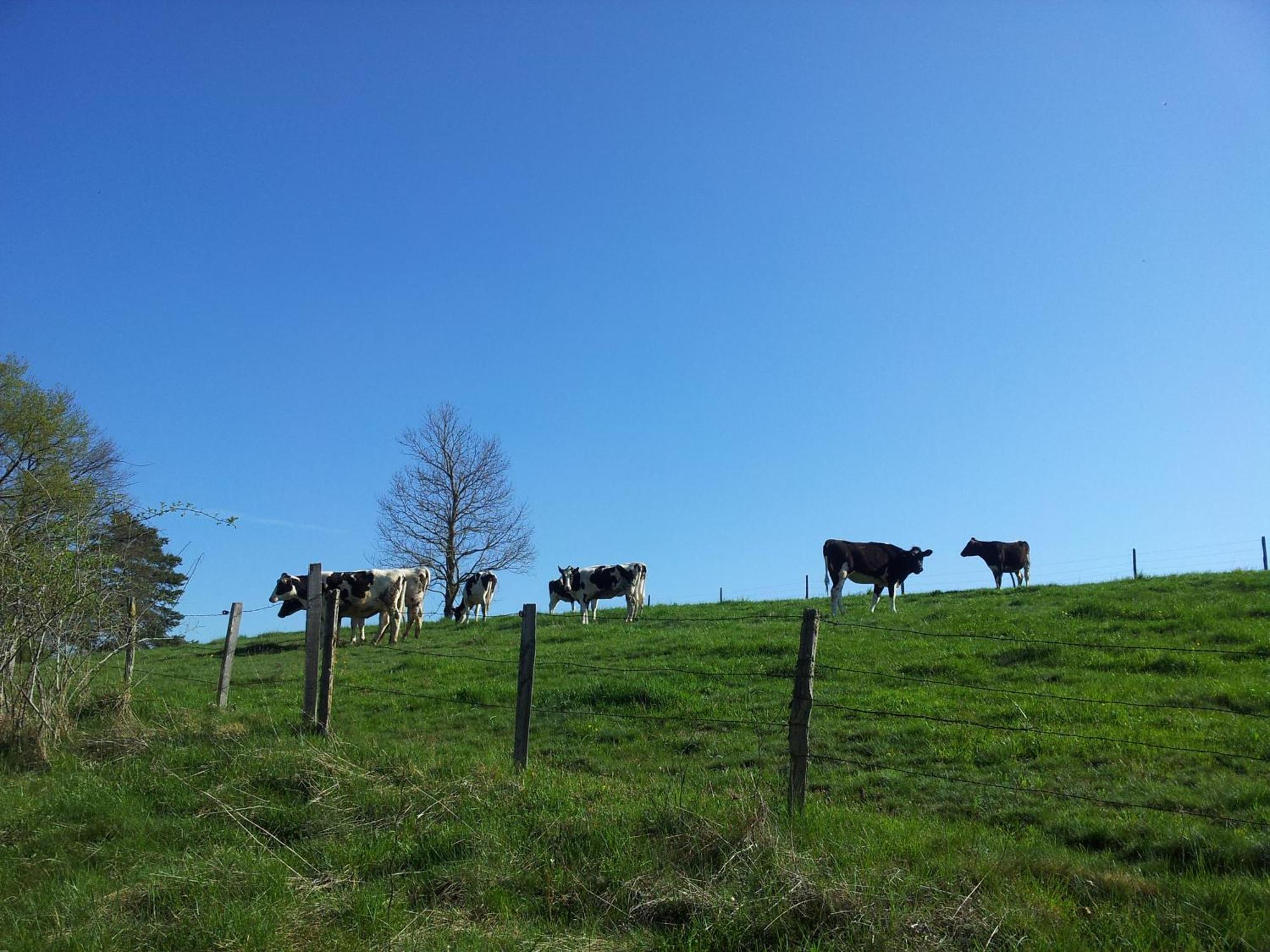 Gite La Grange De L'Effraie Vila Beauzac Exterior foto